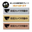 【30日～P2倍＆最大15％OFFクーポン有】(防犯カメラ作動中 マーク付き) ステンレス調 アクリル製 ステッカー プレート おしゃれ ドア ドアプレート 注意表示板 表示サイン 防犯 ダミー 小型 家庭用 セキュリティ 表札 門柱 標識 注意書き 庭 屋外対応 sign-p00032