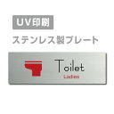 楽天e〜ライフメール便対応〈ステンレス製〉【両面テープ付】W160mm×H40mm 【Ladies Toilet プレート（長方形）】ステンレスドアプレートドアプレート プレート看板 strs-prt-250