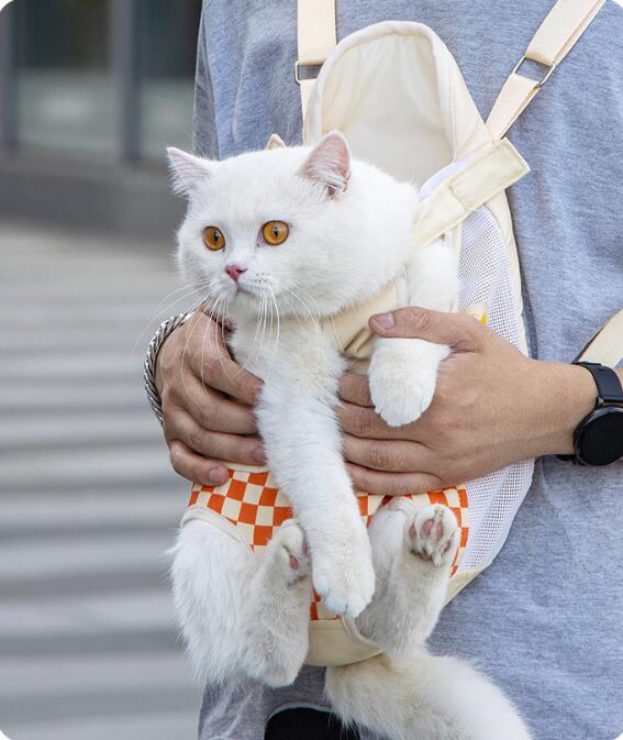 ペットキャリーバッグ 猫 犬用 お出かけ 散歩 旅行 軽量 ポータブル リュック バックパック スリング 前抱っこ 両肩掛け 布製 しっかり構造 小型犬 小型猫 約3kg対応 オレンジ パープル フルーツ柄 雲柄 商品説明 素材: 布・柄: フルーツ・硬さ: やや硬め カラー：A、B、C サイズ M 3kg以内ペット対応 L 3.5-5kg以内ペット XL 5-7.5kg以内ペット