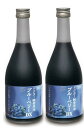 【500ml×2】【正規取扱店】ドクター酵素原液 ブルーベリーDX ※サンプルプレゼント 酵素 乳酸菌 酵母菌 植物性発酵飲料 薬草 生命源 生命原 せいめいげ...