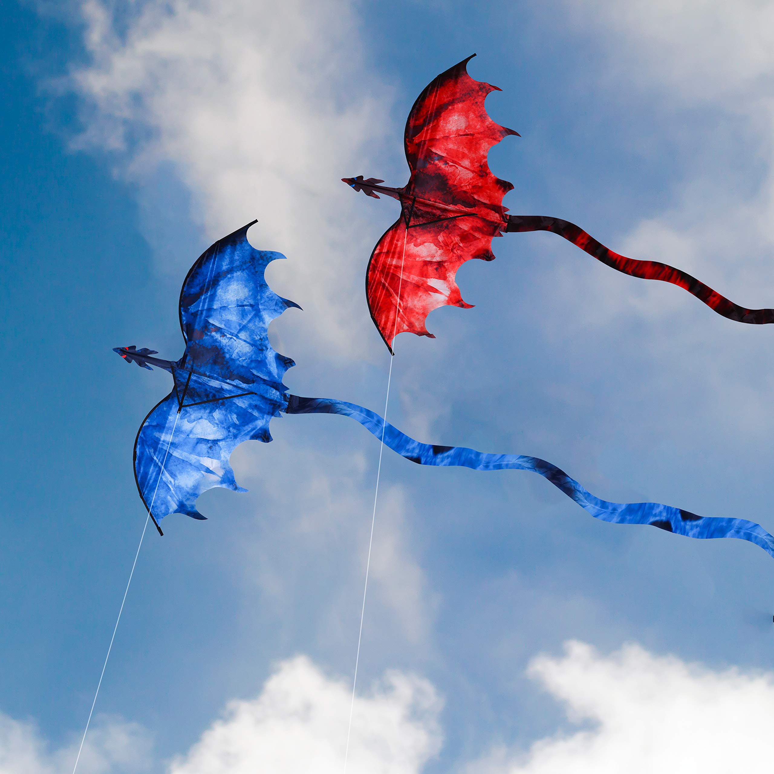 龍 カイト 凧 タコ 凧揚げ タコ揚げ 正月 遊び シングルカイト スポーツ 外遊び KITE カラフルカイト 外遊び アウトドア レジャー スポーツトイ スカイスポーツ ピクニック 公園 キャンプ 初心…