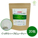 ぐっすりハーブビューティー 機能性表示食品 2.2g×20包 ノンカフェイン ハーブティー 大麦乳酸発酵液ギャバ グリーンルイボス ローズヒップ ハイビスカス メール便 送料無料 [M便 1/2]