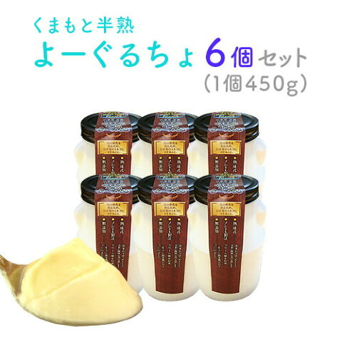 ギフト くまもと半熟よーぐるちょ 450g×6個セット 送料無料 プラ容器 ヨーグルト 産地直送 無添加 ギフト 2層 まろやか クリーミー ※北海道・沖縄・離島は別途送料880円が必要となります キャッシュレス ポイント還元