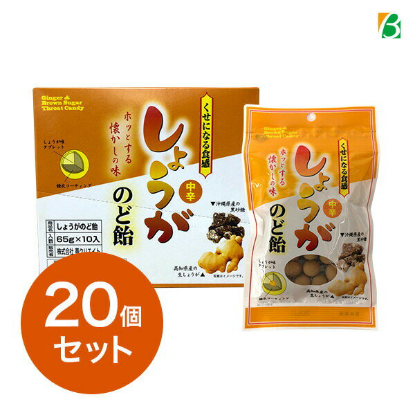 スーパーセール期間中2倍 しょうがのど飴 20個セット ジンジャー ショウガ 送料無料 クーポン