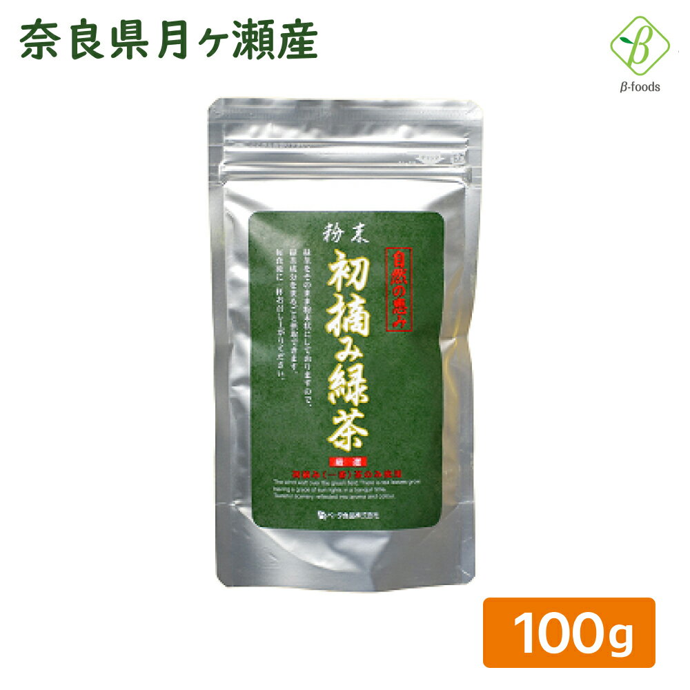 粉末 初摘み緑茶 100g 粉末緑茶 粉茶 