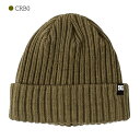 【1000円OFFクーポン配布中 8月買い物マラソン】ニット帽 ニットキャップ ビーニー メンズ DCシューズ DC SHOES FISH N DESTROY ...
