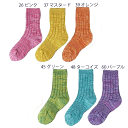 【1000円OFFクーポン配布中 7月 お買い物マラソン】靴下 キッズ スタンプル Stample メニーカラー リブ クルーソックス 13-24cm 厚手 単品 1足 ジュニア レディース 男の子 女の子 保育所 幼稚園 小学生 中学生 ピンク マスタード オレンジ グリーン 71889(4)