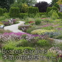 【宿根草】Better Gardens農場長オススメ 季節の宿根草 10ポットセット【Aグループ】花苗 多年草 ガーデニング イングリッシュガーデン ナチュラルガーデン 庭 花 苗物 園芸 季節 鉢植え 庭植え セット 苗木 花壇 切り花 初心者 育てやすい ギフト 植物 花