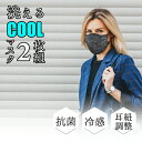 【10%クーポン発行中!&P20倍】マスク 洗える 冷感 夏用 接触冷感 洗えるマスク 夏用 洗濯機 洗えるマスク ペコペコしない おしゃれマスク 大人 クール...