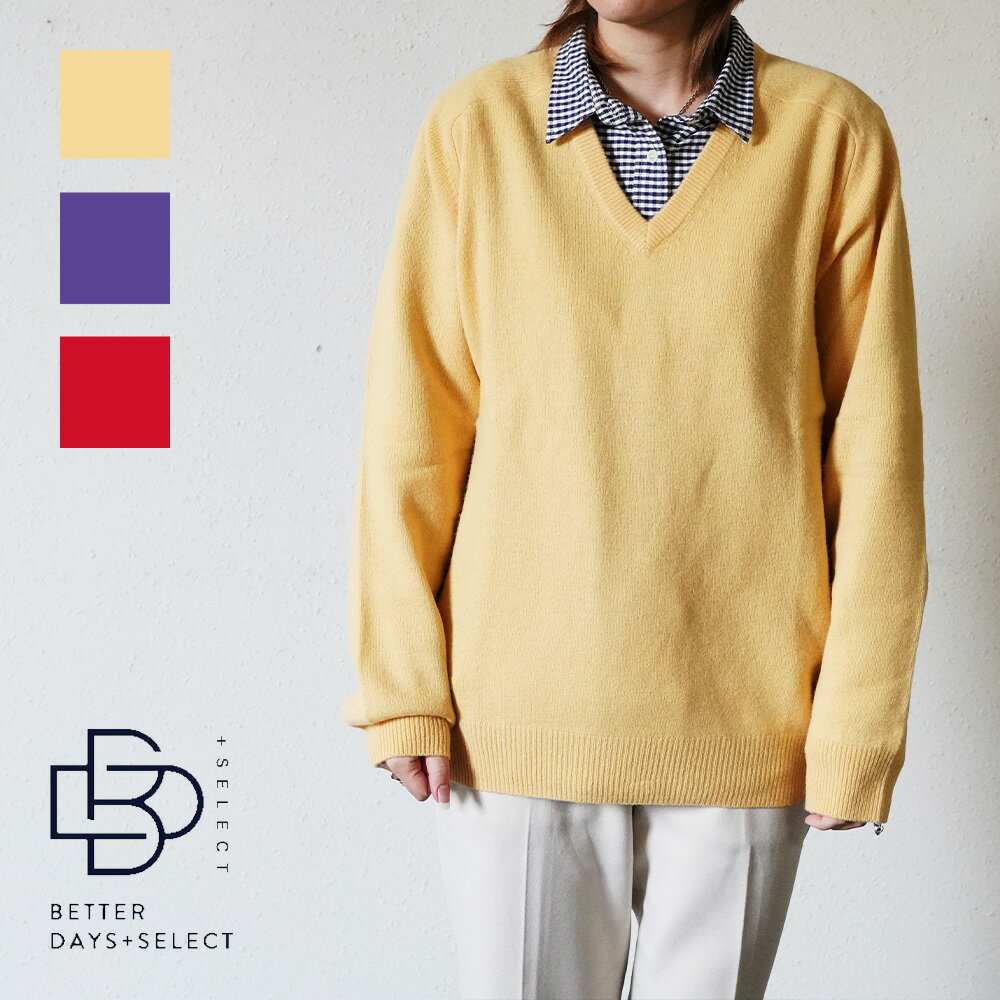 ニット Vネック セーター ユニセックス トップス 長袖 アランペイン Hampshire Lambswool Jumper in Landscape Classic Fit【国内正規品】Alan Paine