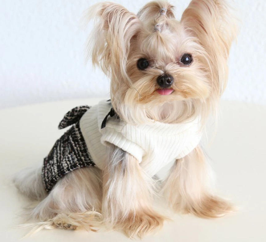 超!可愛い 冬 犬服 小型犬服 冬 ワンピース ツイード風 リボン お出かけ おしゃれ 上品 ワンピ スカート かわいい お揃いコーデ ガーリー 夏シャツ パピー ワンちゃん 犬用品 犬洋服 猫服 女の子【a407】 3