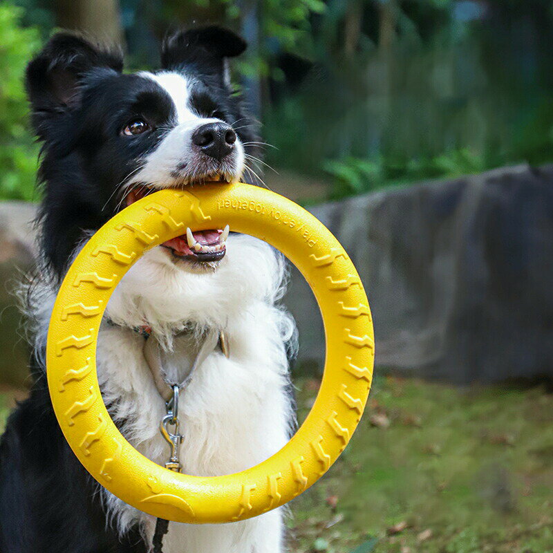 3点セット犬おもちゃフリスビーリング輪っか中型犬大型犬トレーニング用耐久性噛みごたえ丈夫壊れにく..