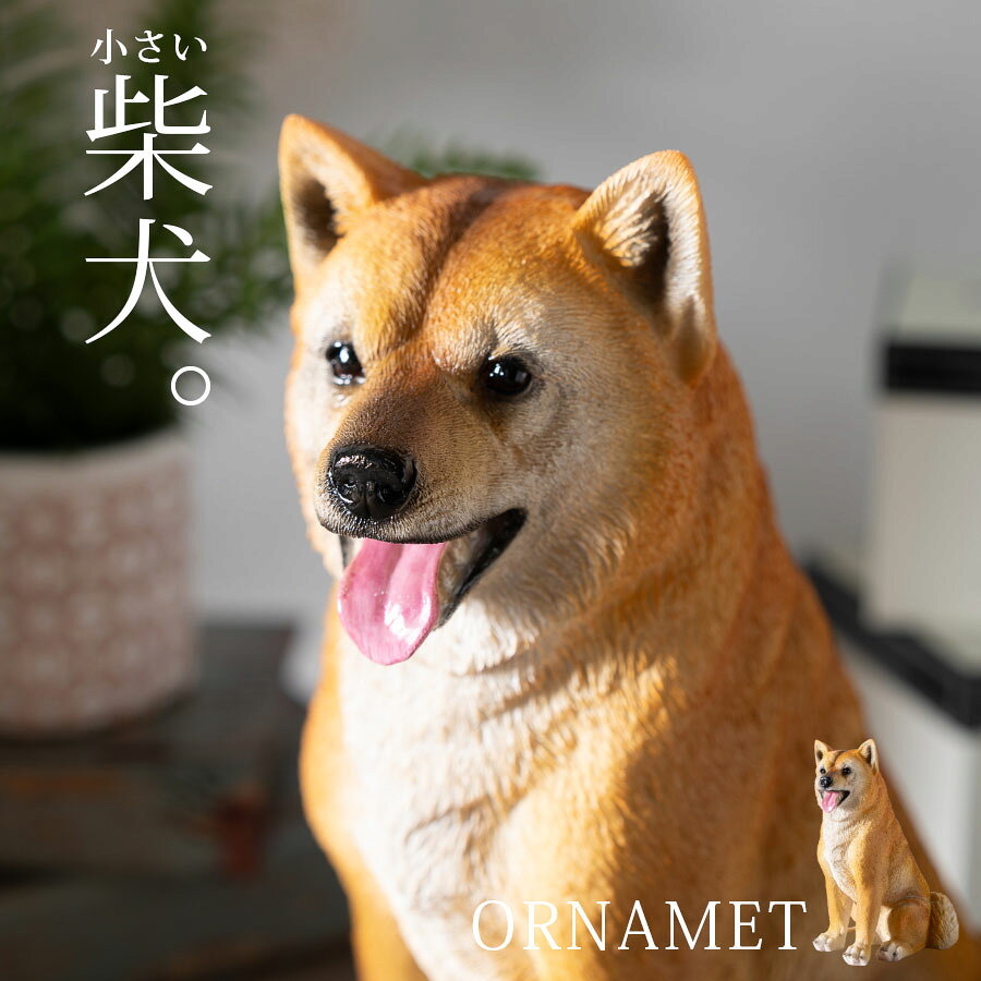 乐天商城 - 期間中ポイント10倍 置物 オーナメント 柴犬 動物 アニマル 犬 ワンちゃん オブジェ かわいい アニマル置物 インテリア雑貨 しばいぬ シバイヌ 可愛い 癒される 玄関 リビング インテリア プレゼント ギフト 犬好き