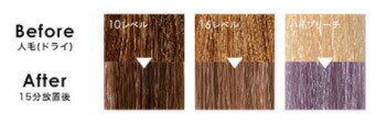【お買い物マラソンP最大47.5倍】『ラベンダーアッシュ』ANAP カラートリートメント 150g bexps-10000270 Beauty Express サンプル画像2