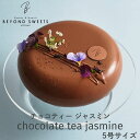 糖質制限ムースケーキ チョコティージャスミン ホール 冷凍配送 5号サイズ 1台