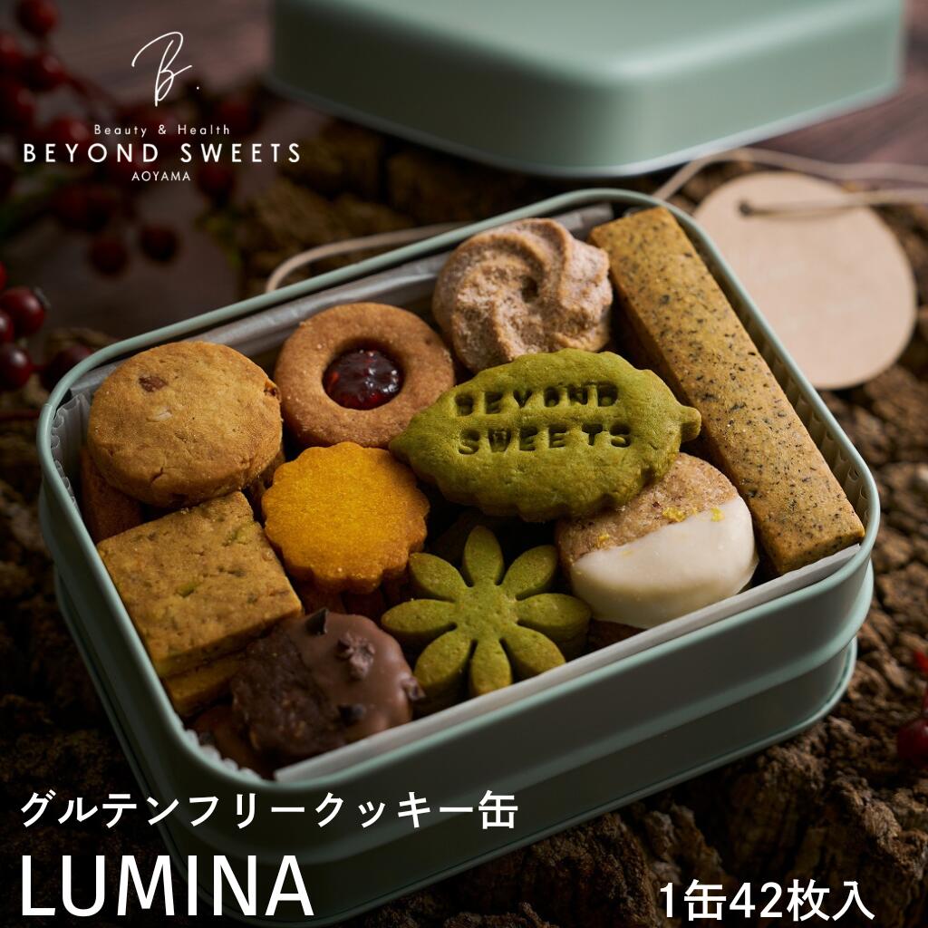 【常温配送】プラントベース　グルテンフリークッキー缶 LUMINA 12月19日～25日着発送限定