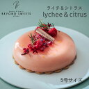プラントベースケーキ ライチ&シトラス ホール 冷凍配送 5号サイズ 1台