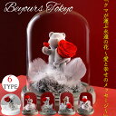 プリザーブドフラワー バラ ガラスドーム 誕生日 結婚記念日 記念日 ギフト 友だち 誕生日プレゼント 枯れない花 薔薇 花 贈り物 おしゃれ 可愛い 女性 彼...