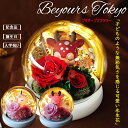 プリザーブドフラワー ギフト ケース入り ガラスドーム 誕生日 花 プレゼント ブリザーブド 灯る led プリザーブドフラワー ガラスドーム 結婚記念日 結婚...