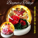 プリザーブドフラワー 誕生日 ホワイトデー お返し プレゼント リザーブドフラワー ギフト ホワイトデー 花 プレゼント誕生日 ブリザードフラワ- プリザードフラワー フレーム 女性 友達 結婚祝い 結婚式 披露宴花束贈呈 両親 両親贈呈品 送別会 定年 退職 退職祝い 男性