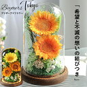 プリザーブドフラワー ヒマワリ ガラスドーム ひまわり 花 ギフト 向日葵 ボトルフラワー ガラス 誕生日 ガラス入り お祝い お見舞 おしゃれ プレゼント 夏 誕生日 プレゼント 敬老の日 卒業 母の日 父の日 贈り物 退職祝い 還暦 出産祝い