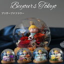 星の王子様 プリザーブドフラワー 名入れ クリスマス メッセージカード入れ付き ガラスドーム 誕生日プレゼント 女性へプロポーズ 結婚祝い 開店祝い 新築祝い ギフト 彼女ホワイトデー 母親 女友達 彼女 妻 嫁 祖母 姉 妹 ママ 友 職場 女性 20代 30歳 50代 70歳
