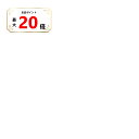 【全品最大20倍】ホーユー バイカルテ 共通ポンプ 業務用 LSC