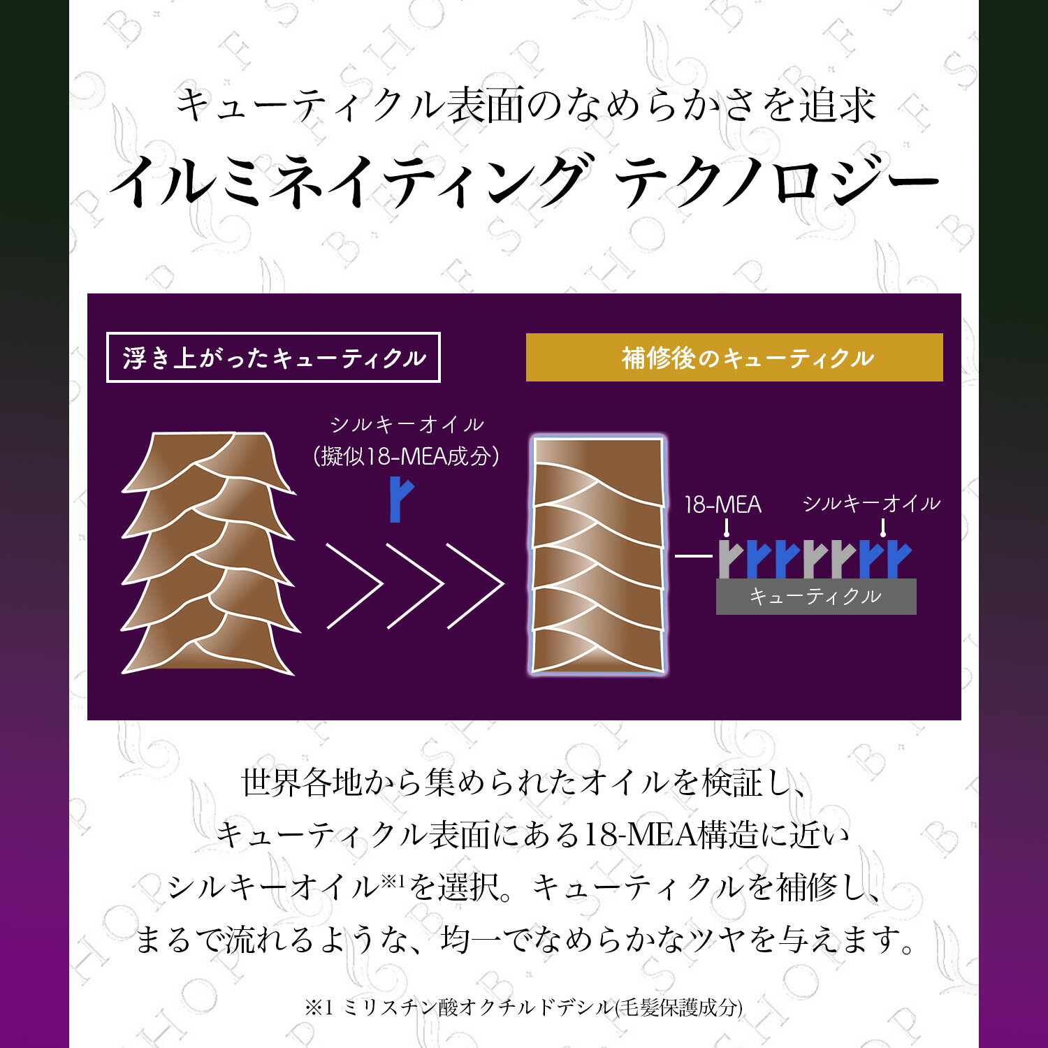 �ڥ��å��ʡۥߥ�ܥ� ����ߥͥ��ƥ��� ������ �����ס� & �ȥ꡼�ȥ��� 2500ml �������Х� �ߥ�ܥ� �ͤ��ؤ��� ��ե��� milbon LSC