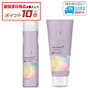【対象商品10倍】【セット品】ウエラ カラーモーション + カラーシャンプー & リチャージ アメジスト 250ml +200ml トリートメントWELLA LSC