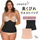 ★送料無料★ ウエストシェイプバンド (コルセット レディース ウエストニッパー ロング 丈 くびれ お腹 下腹 ぽっこりお腹 お腹引き締め ウエストシェイパー...