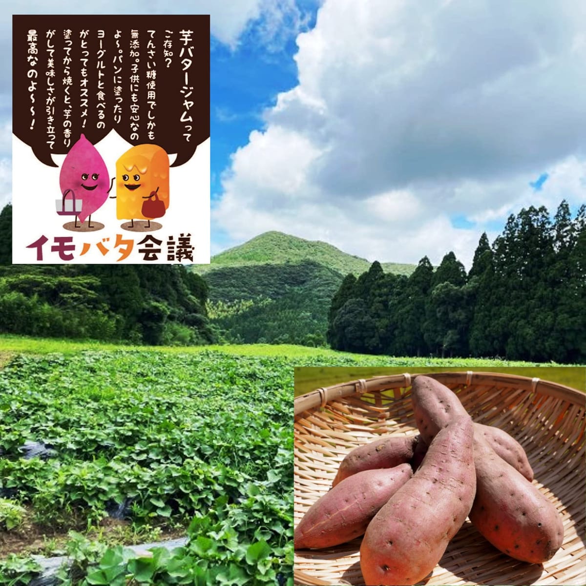 ���Ĥޤ���Х��� ����Х���� �����縩�� ��Ǽ�� ��餵������ �ȤϤ뤫 ��ڡ����� �Х����ڡ����� �򥸥�� ̵ź�äǰ¿� �Ƥ��� ���ꥸ�ʥ뤪�ߤ��� (���饫���, 3��)