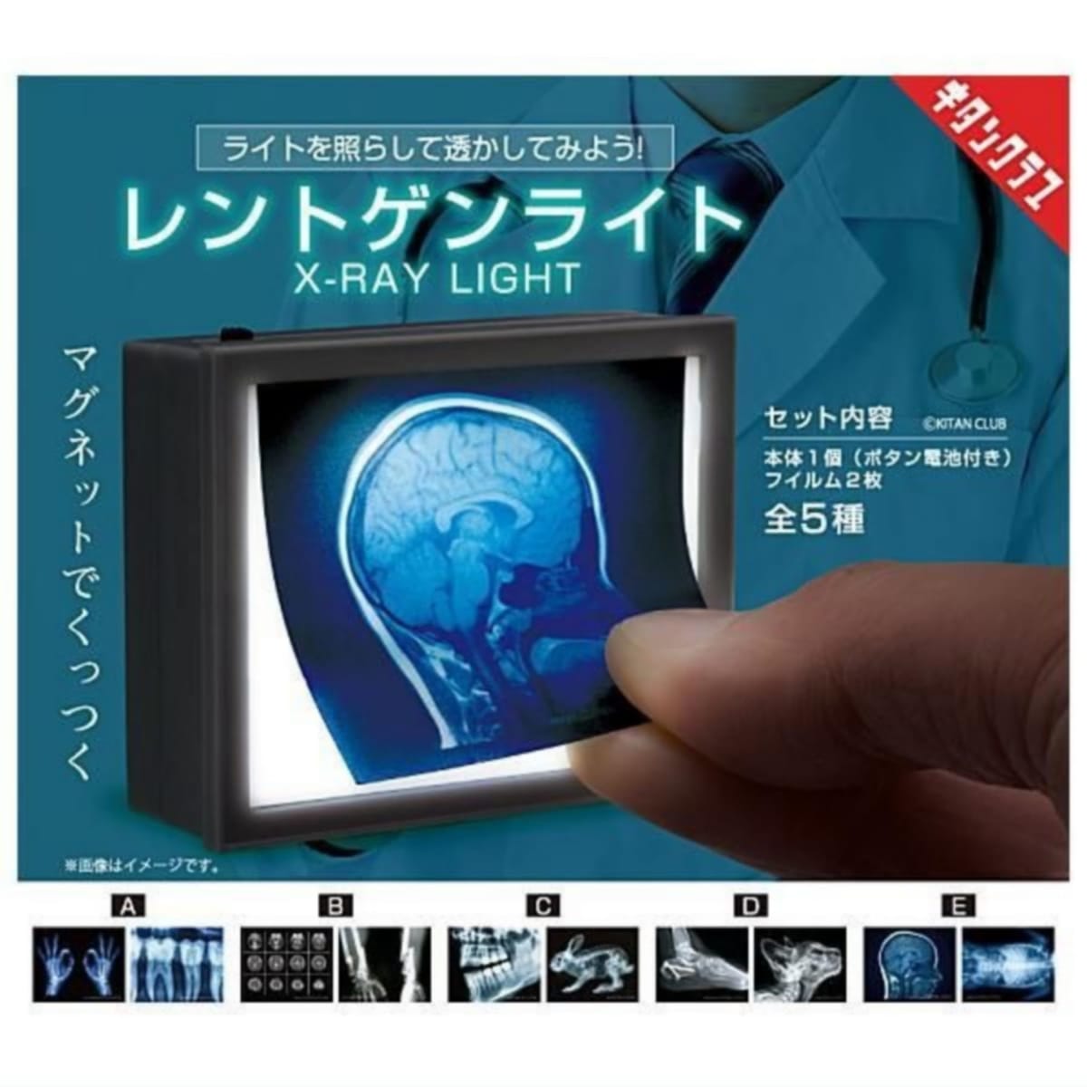 奇譚クラブ レントゲンライト × 全5種セット フルコンプ ガチャガチャ カプセルトイ