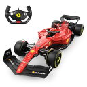 Rastar F1 Series RC Cars