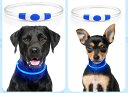 【Amazon.co.jp限定】愛犬家の声から誕生した 犬の光る首輪 わんこ様 視認距離500mで夜間も安心 犬 猫 光る 首輪 ライト 夜 散歩USB 充電式