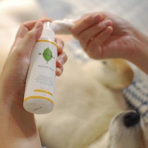 WAFONA ������륱�����ץ졼 ���ؤ��ܥȥ� 300ml ���᤭ ���� �¿��ʸ���ǭ�����ʡ�