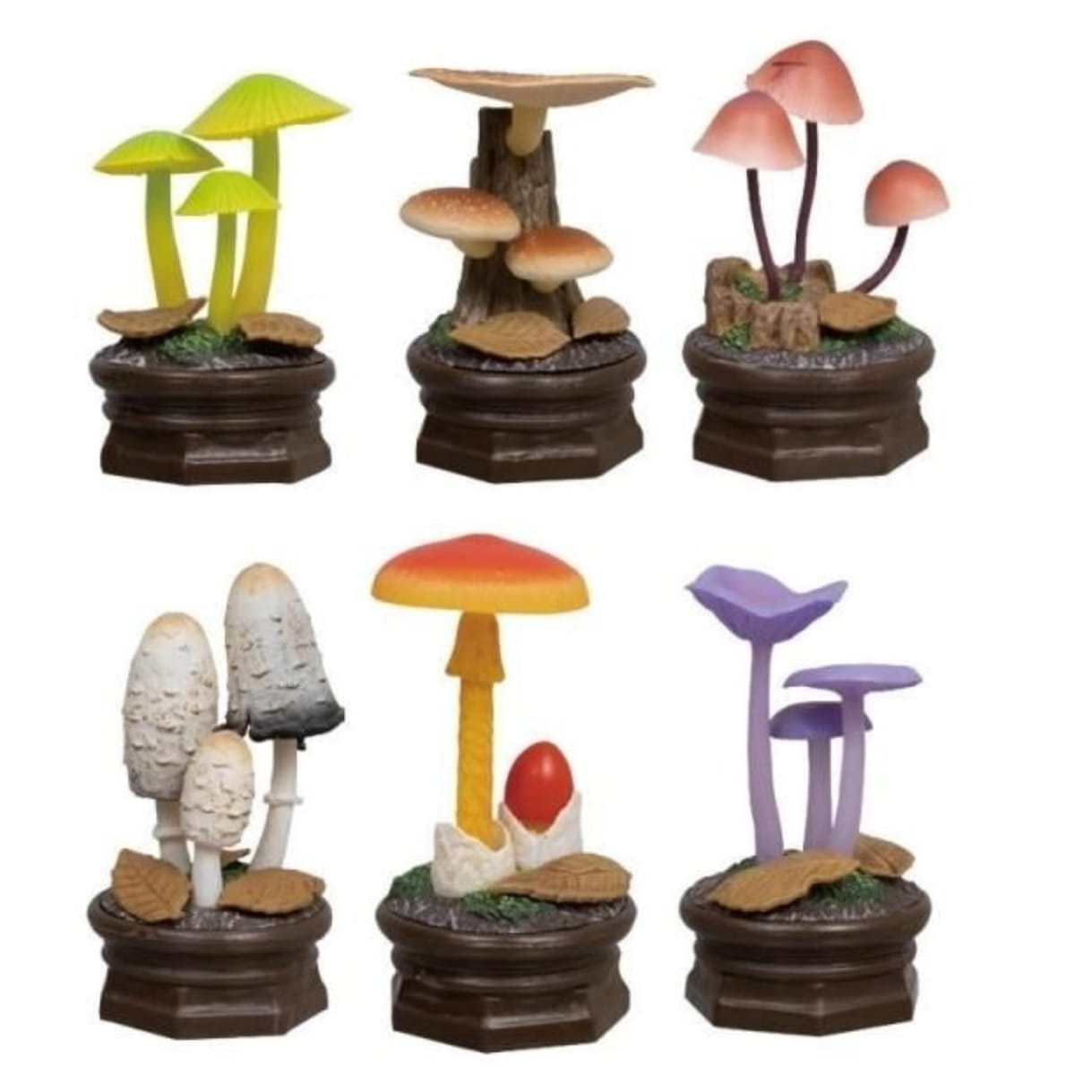 楽天市場】きのこ立体図鑑の通販