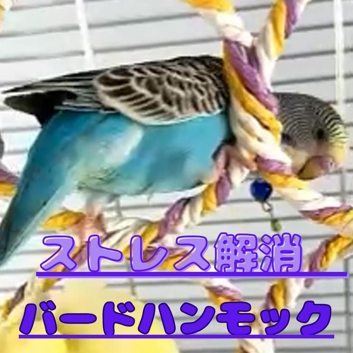ASPALAND 鳥 ハンモック 2点セット 小鳥 インコ 小動物 用 遊び場 おもちゃ 吊り下げ 止まり木 クライミング バードトイ