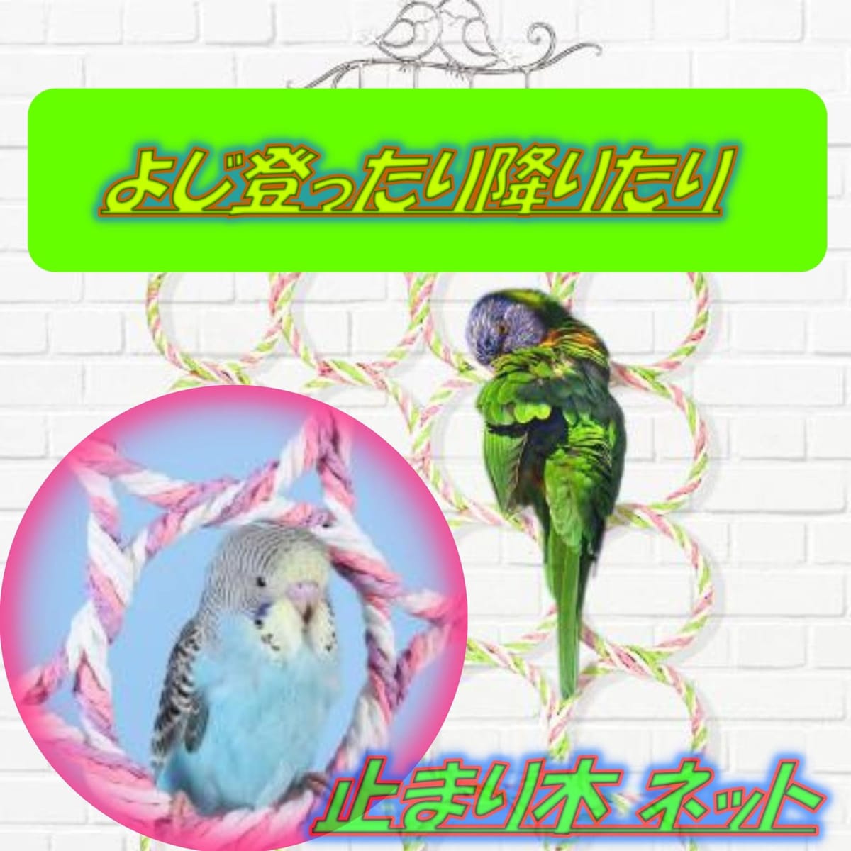 ASPALAND 鳥 ハンモック 2点セット 小鳥 インコ 小動物 用 遊び場 おもちゃ 吊り下げ 止まり木 クライミング バードトイ