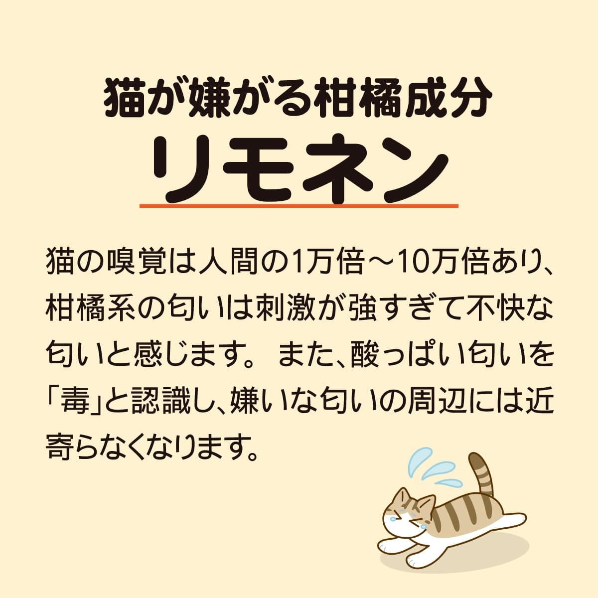 ǭ�褱 ŷ���ҥȥǤδ���ޡ�ǭ�Х��Х���150g ������ʬ�۹� γ�� ���������� ���� ���� �� ����ǭ �к� ǭ����դ��ʤ�