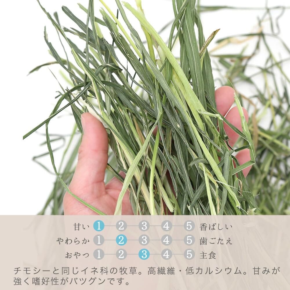 ����5ǯ�� �� ��ߤĤ������ĥإ��ʤ������� 50g ���� ������ ����å� ��ưʪ ����� USAYAMA