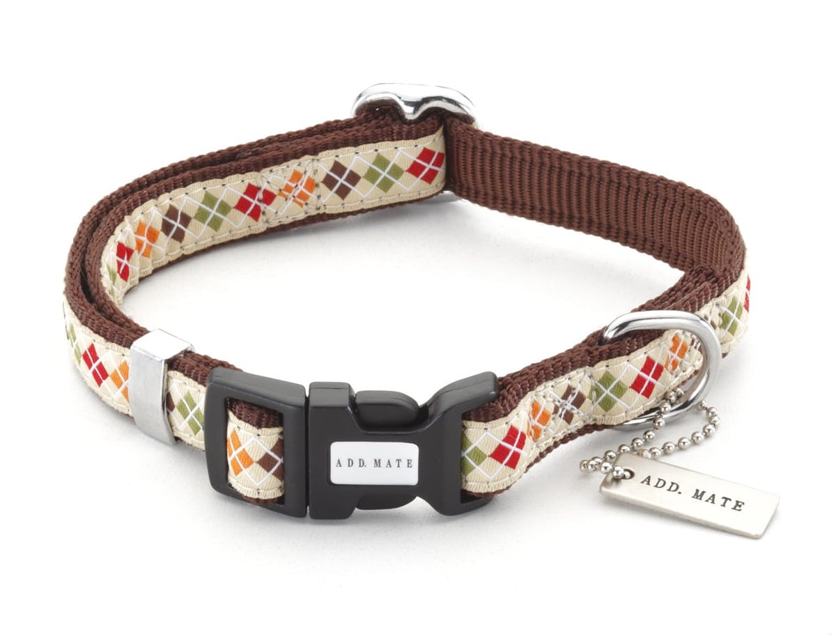 ���ɥᥤ�� ���������� ���顼