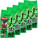 ゼンヤクノー 十六爽健麦茶 192g ×5個 ティーバッグ