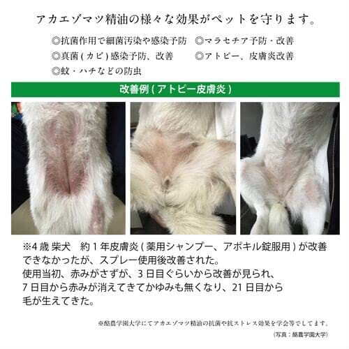 �إ륷�����˥ޥ륺 ���ݡ����ݥ�����ץ��ƥ��ȥ��ץ졼 50ml ����ǭ�ѥ�������