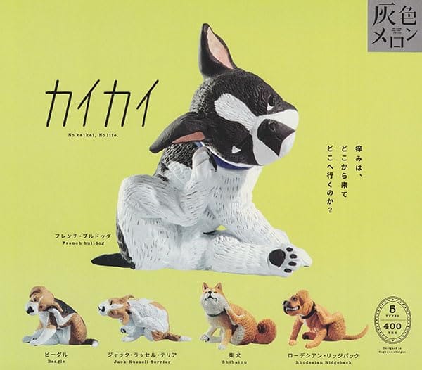 カイカイ 5種セット