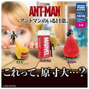タカラトミーアーツ アントマンのいる日常。 × 全3種セット フルコンプ ガチャガチャ カプセルトイ