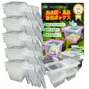 UTST 昆虫飼育ケース 小型 コンテナ ボックス 空気穴付き プラスチック製 昆虫 小動物・卵 幼虫 繁殖