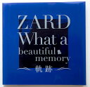 ZARD ザード 坂井泉水 30th パンフレット「What a beautiful memory 〜軌跡〜」