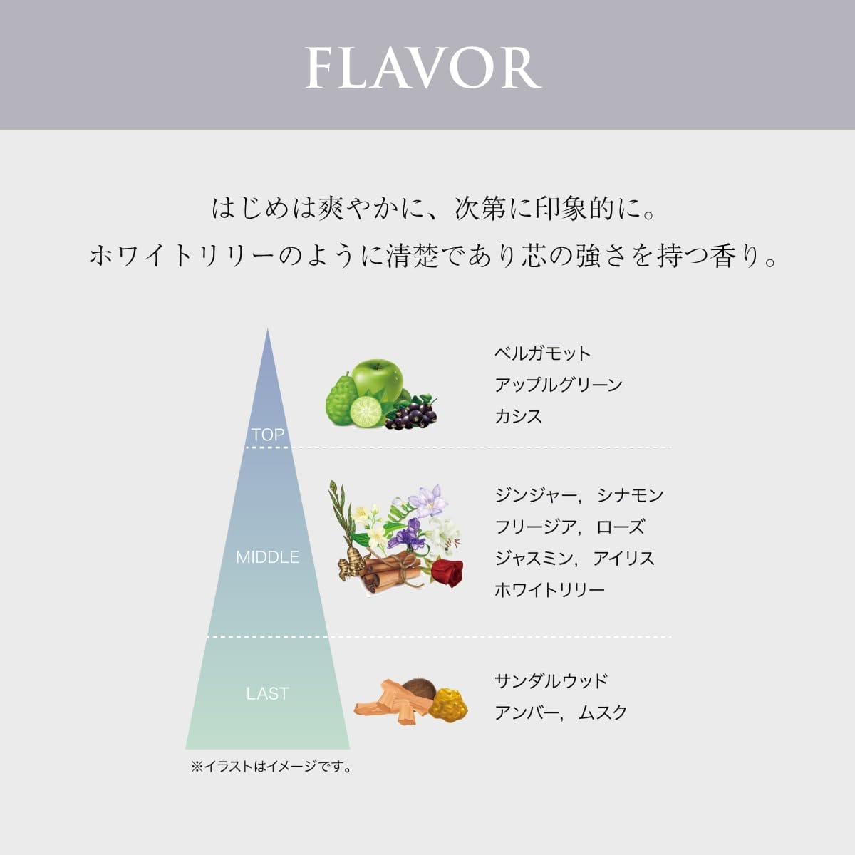 SCENT OF NOTE �إ��ߥ��ȥ��å� (1��)