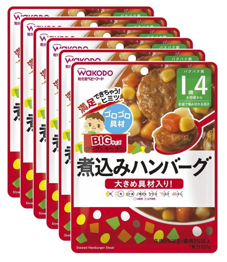BIGサイズのグーグーキッチン 煮込みハンバーグ×6袋 100グラム (x 6) BIGサイズのグーグーキッチン 煮込みハンバーグ×6袋 100グラム (x 6)