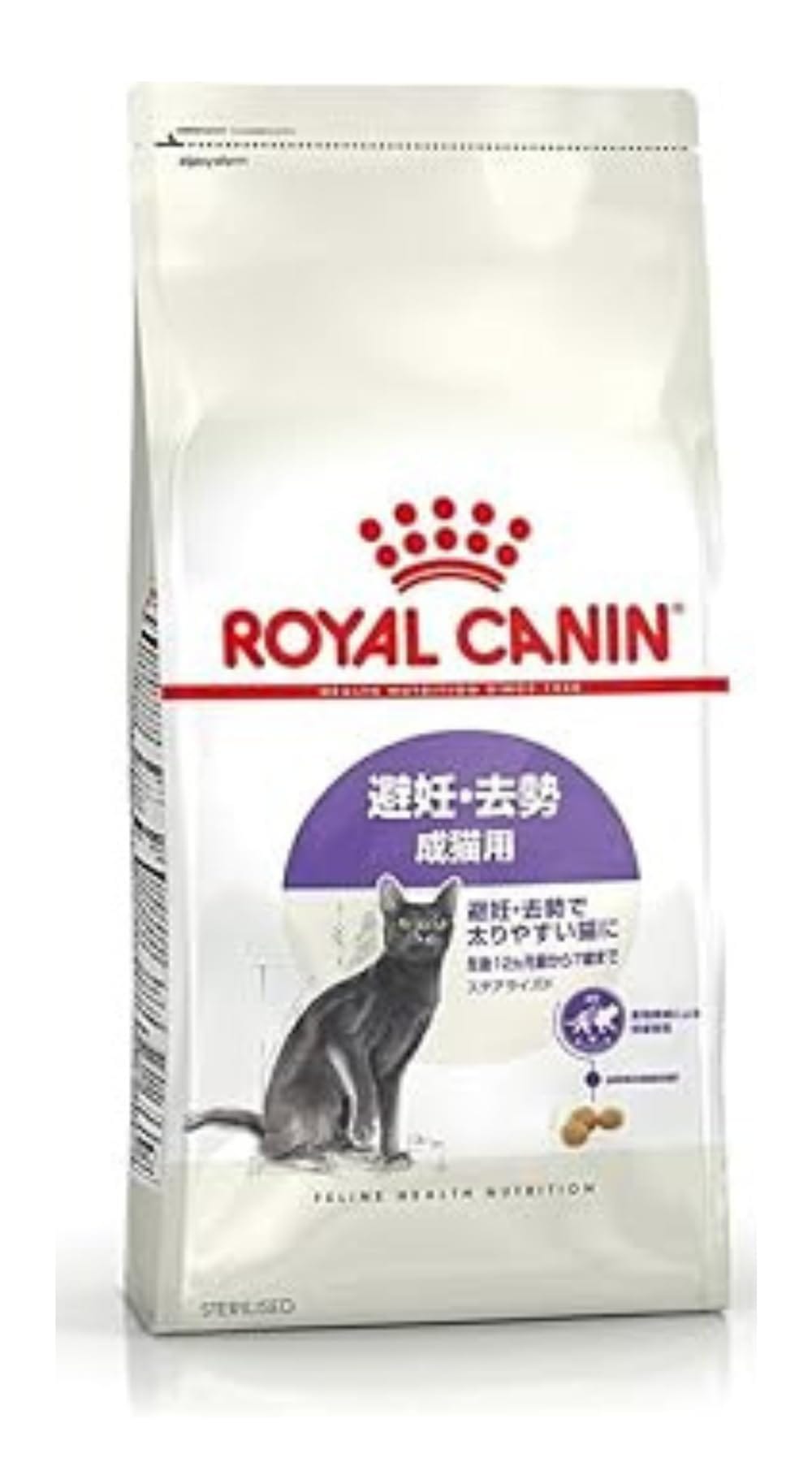 륫ʥ ƥ饤 ǥ䤹ǭ 12ʾ